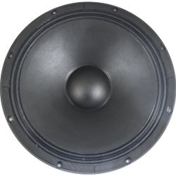 Jensen BS 15N/350A 15" głośnik instrumentalny 350W